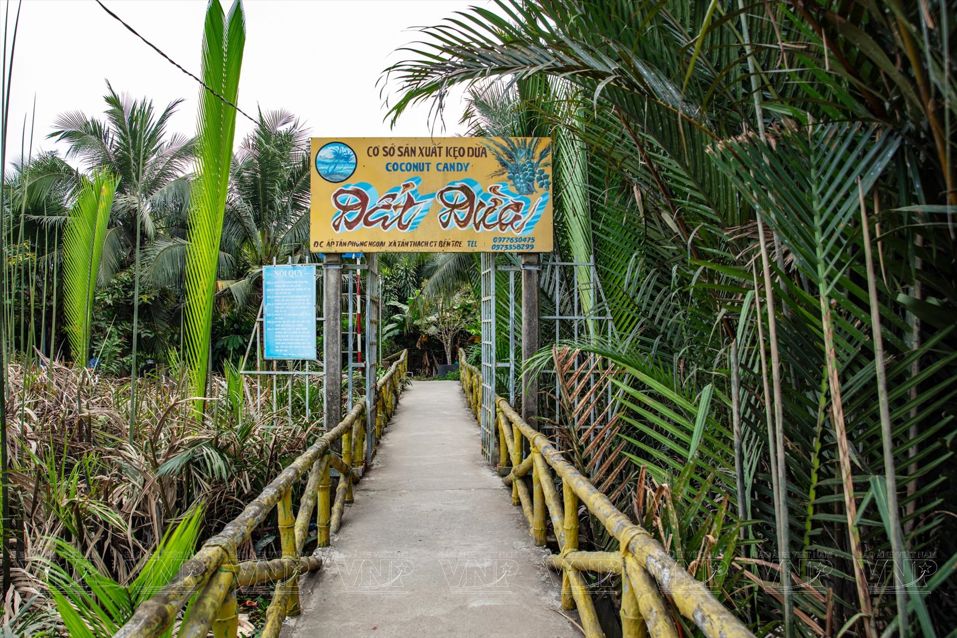 Làng Nghề Kẹo Dừa Bến Tre